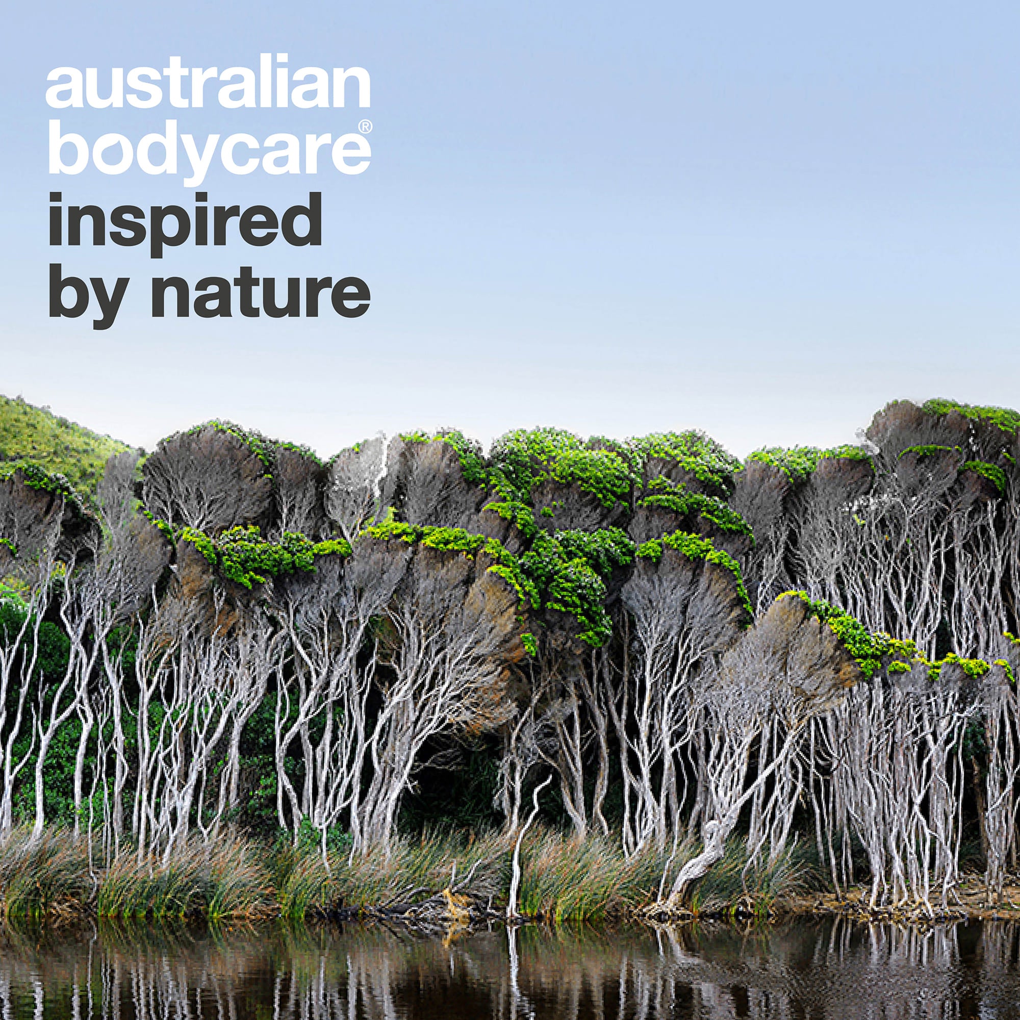 Australian Bodycare – inspired by nature: austrálska krajina so stromami tea tree