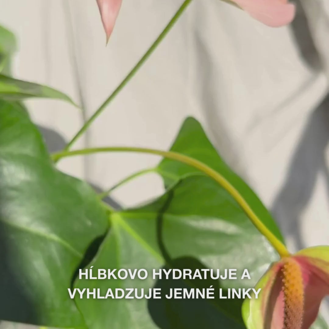 Detail ruky, ktorá naberá pár kvapiek hodvábneho, priehľadného pleťového séra pipetou na končeky prstov a jemne ho vmasíruje do mierne vlhkej pokožky – jeho ľahká, rýchlo vstrebávajúca sa textúra okamžite hydratuje, vyplňuje jemné linky a upokojuje pleť s 2 % kyselinou hyalurónovou, vitamínom B5 a tea tree olejom 