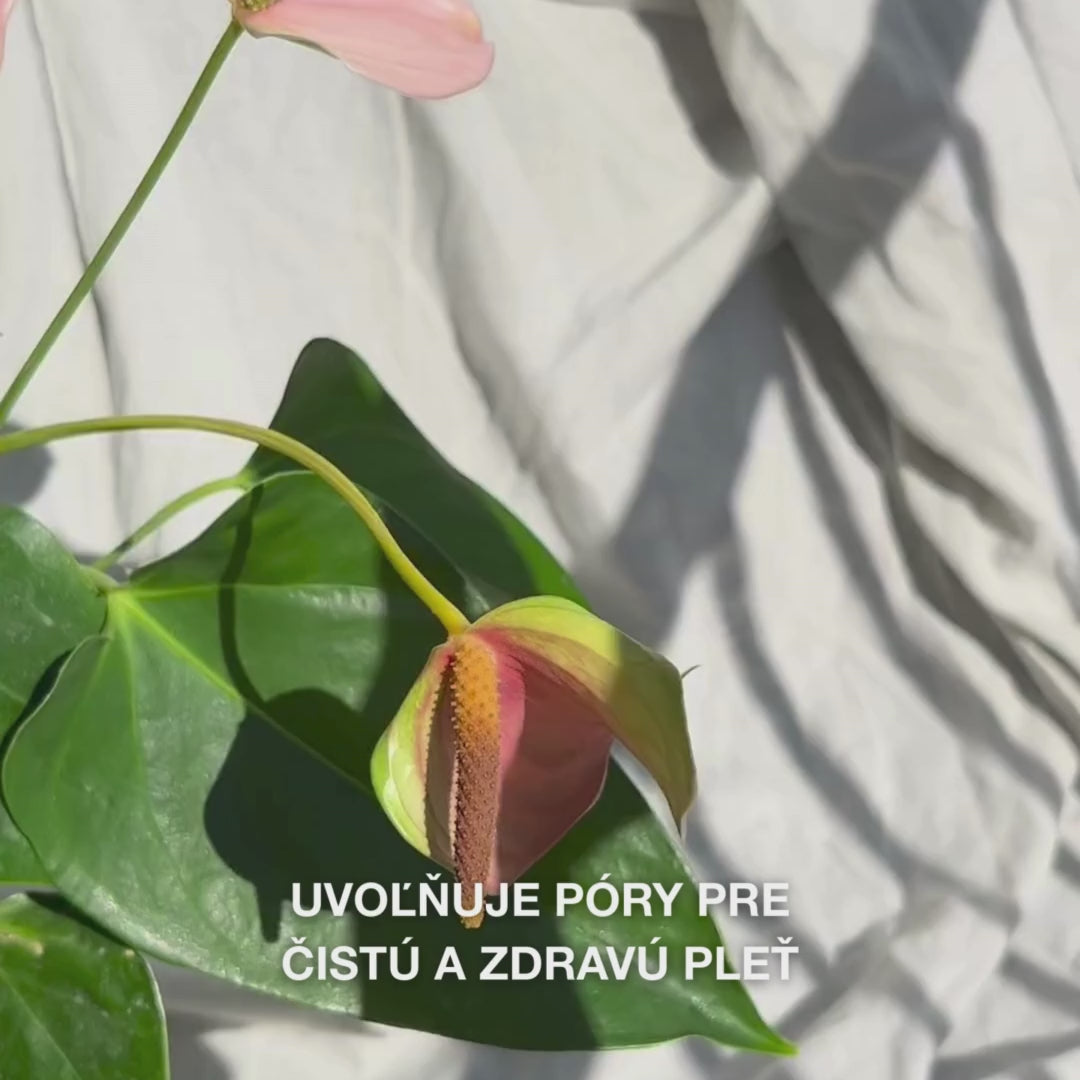 Detailné zábery ruky, ktorá krúživými pohybmi jemne vedie silikónový Face Scrubber s mäkkými vláknami po mierne vlhkej pokožke tváre: flexibilná kefka jemne exfoliuje, hlboko čistí, odstraňuje nečistoty a odumreté bunky, odhaľuje hladkú štruktúru a žiarivú pleť.