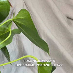 Detail ruky, ktorá stlačí pumpu a získa krémové, priehľadné množstvo Hemp Shampoo do dlane, a následne ho vmasíruje do mokrých vlasov, čím vzniká jemná, hydratačná pena, ktorá vyživuje, hydratuje a upokojuje pokožku hlavy.