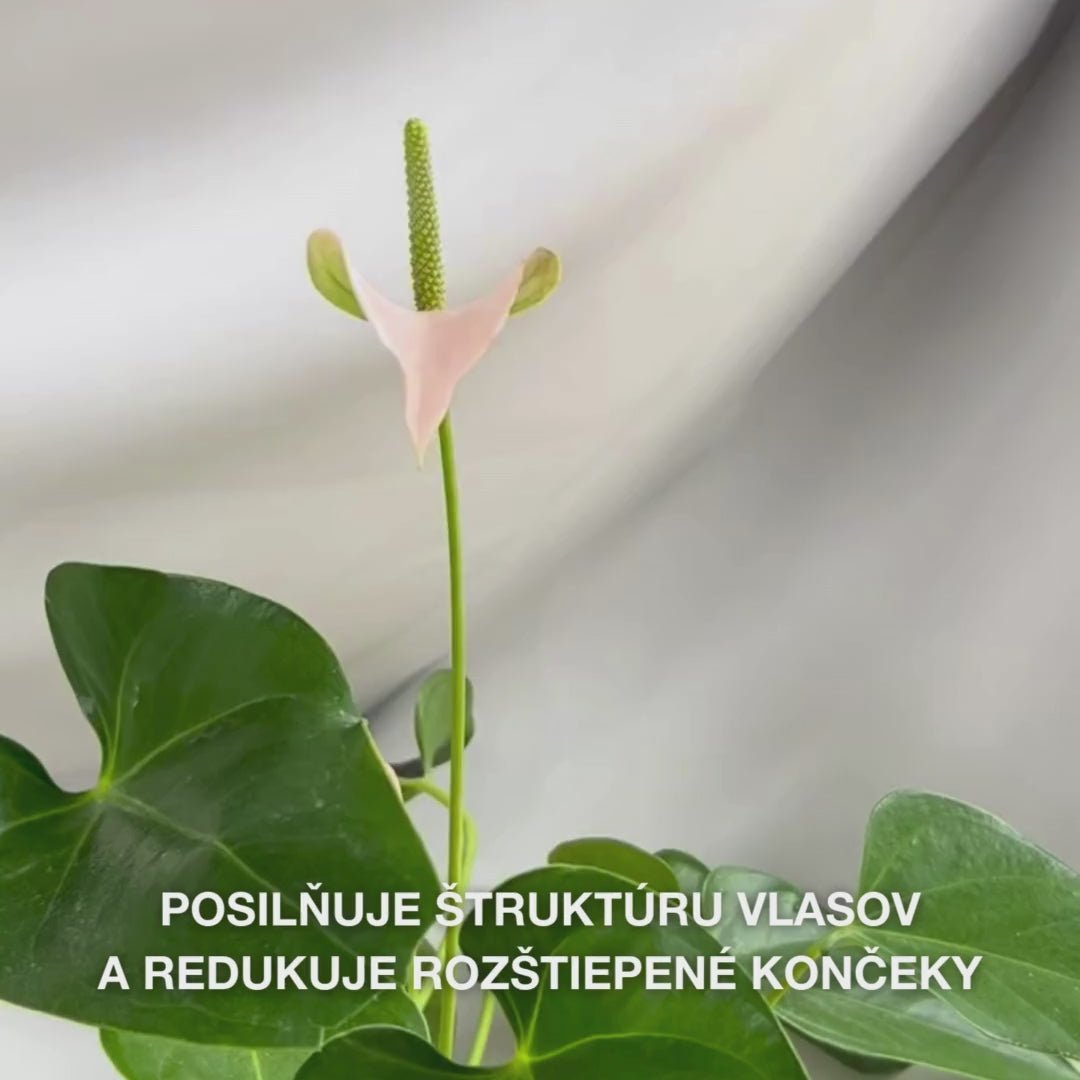 Kondicionér Vitamin B12 pre poškodené vlasy. Bond efekt regeneruje a posilňuje. S vitamínom B12, panthenolom a Elaya Renova™.