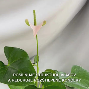 Kondicionér Vitamin B12 pre poškodené vlasy. Bond efekt regeneruje a posilňuje. S vitamínom B12, panthenolom a Elaya Renova™.