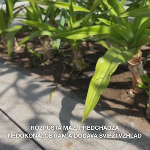 Čistiaci gél s kyselinou salicylovou – čistí póry, redukuje akné, čierne bodky a mastnú pleť