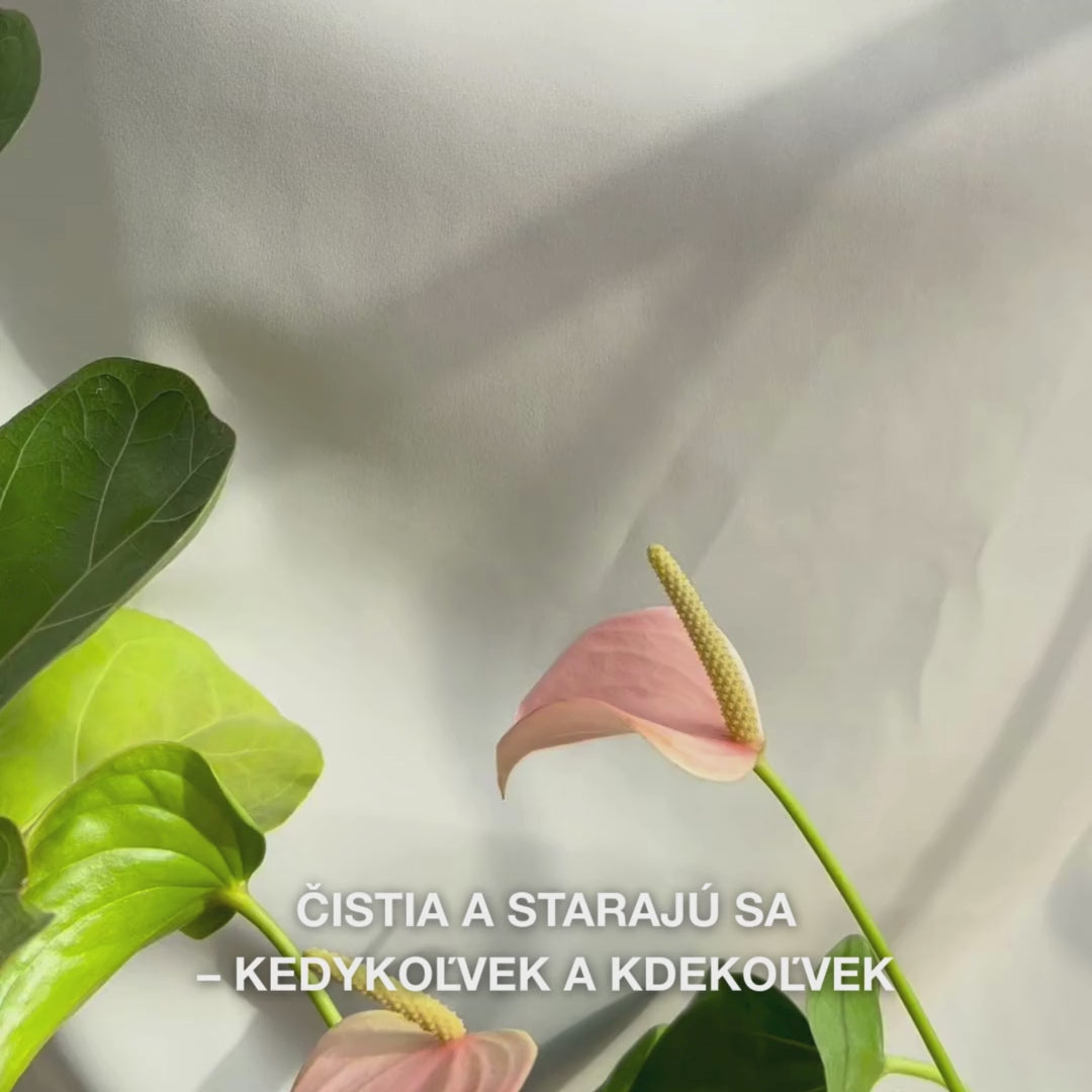Detail ruky, ktorá rozkladá mäkkú, navlhčenú tvárovú utierku obsahujúcu Tea Tree Oil a jemne ňou prechádza po pokožke, aby odstránila make-up, kožný maz a nečistoty — zvýraznená je jemná textúra a osviežujúci, upokojujúci účinok pre citlivú až mastnú pleť.