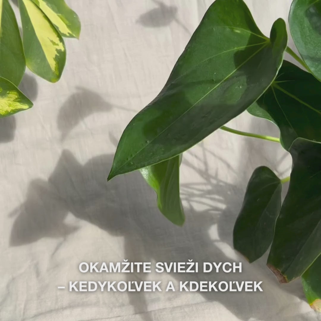 Detail ruky, ktorá jemne pretrepe kompaktnú fľaštičku ústneho spreja a nastrieka jemnú, hydratačnú hmlu na jazyk a ďasná — ľahká, chladivá hmla okamžite osviežuje dych, zvlhčuje suchú ústnu dutinu, upokojuje podráždenie a zanecháva svieži mätový pocit.